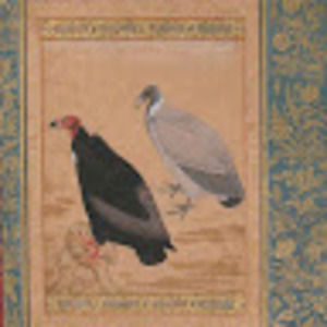 Meet your Posher, Seher